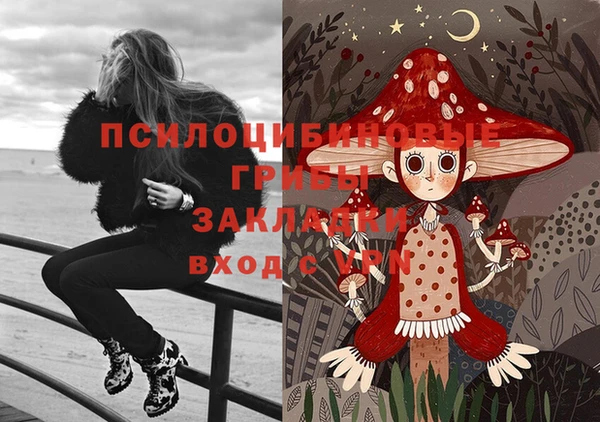 кокаин Новозыбков